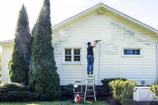 Why Choose Our Certified Pressure Washing Experts for Your Project Needs in Florence, AZ?